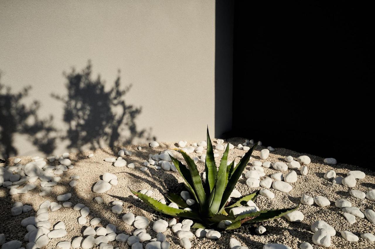 Villa Barbara Poreč Exteriér fotografie